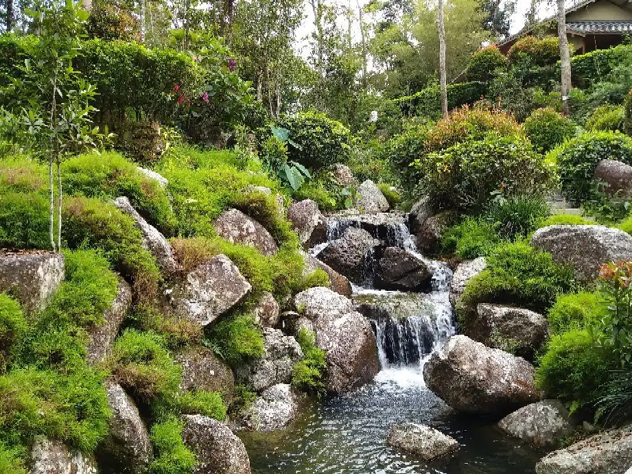 Hotels near Japanese Village at Colmar Tropicale