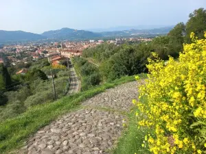 Fortezza di Sarzanello