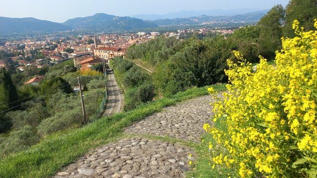 Fortezza di Sarzanello