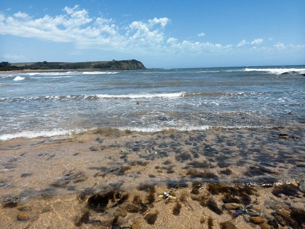 Coles Beach