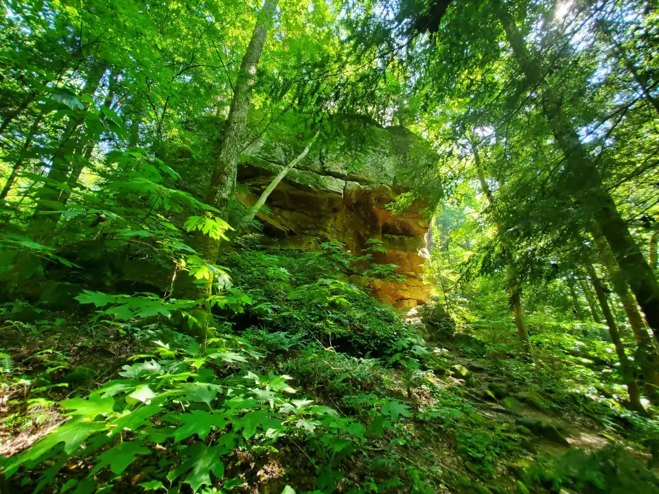 5_Natural Bridge Park