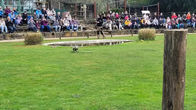 2_Neunkircher Zoologischer Garten