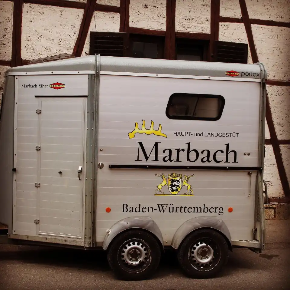 2_Marbach stud