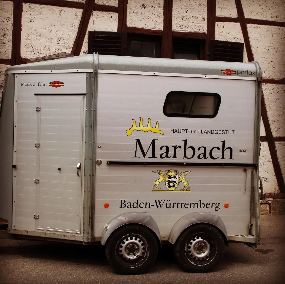 2_Marbach stud