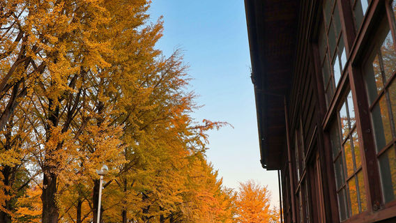 Ibaraki Prefectural Museum of History