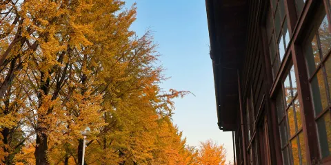 茨城縣立歷史館