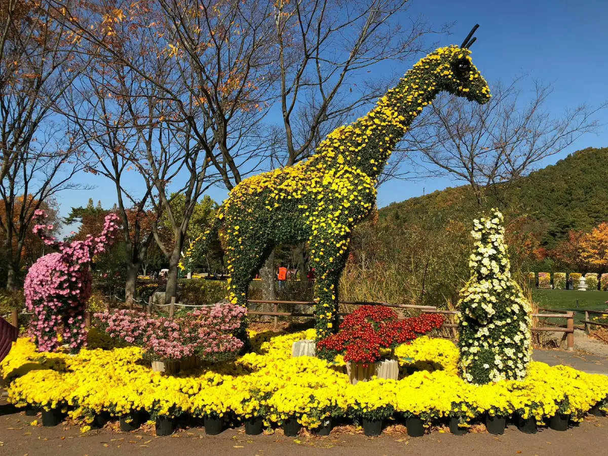Daegu Arboretum