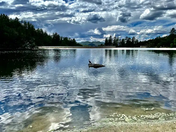 Hotels near Goldwater Lake