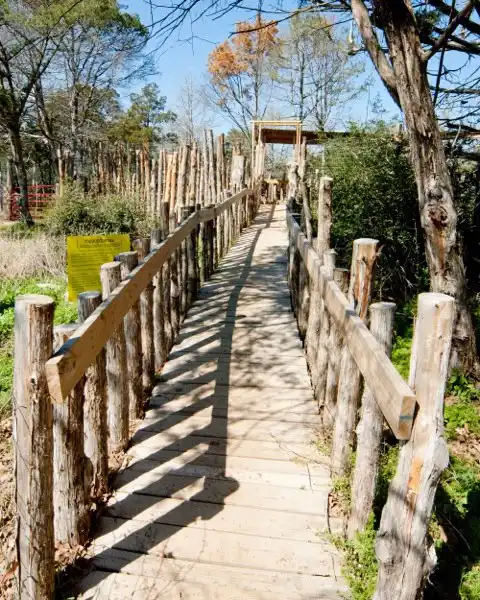 Hotels in Wyldwood