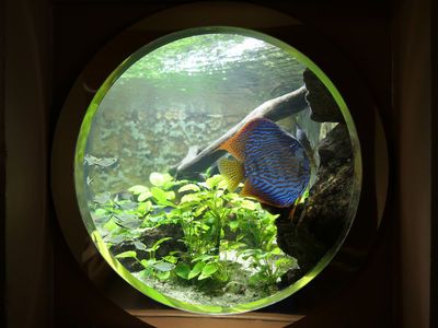 Aquarium des Tropiques