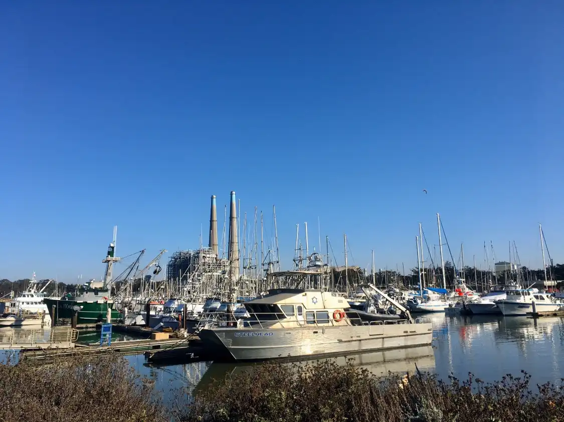 Hotels near Moss Landing State Beach