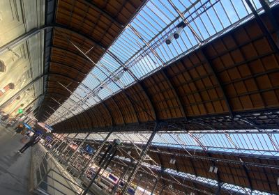 Basel Main Station