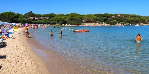 Le Farfalle - Cala Suaraccia Beach