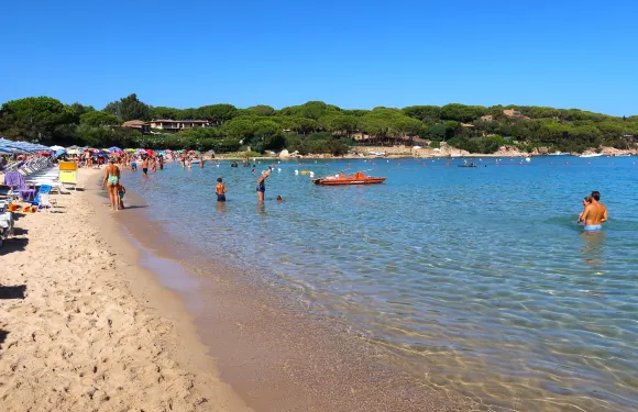 卡珀科達卡瓦洛