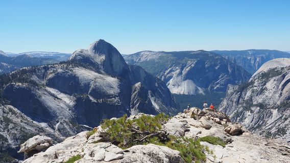 Wildland Trekking