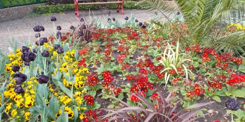 Garden of Reflection