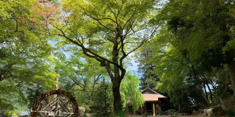 Kabuto Kannon Temple