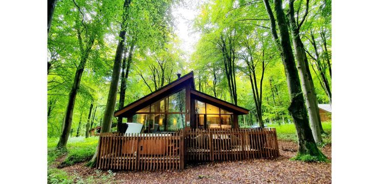 Forest Holidays (Blackwood Forest)