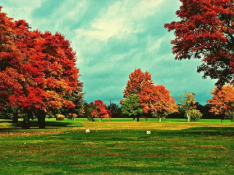 Cassville Golf Club