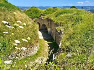 Fort du Mont-Bart