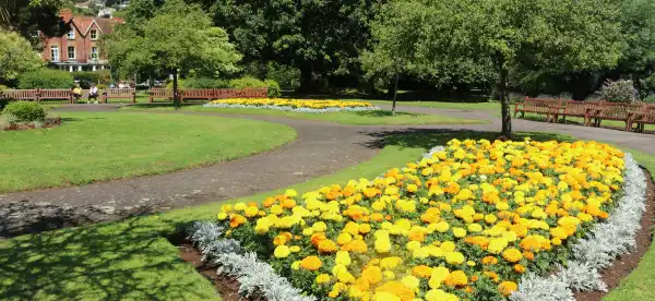 Hotels in Minehead