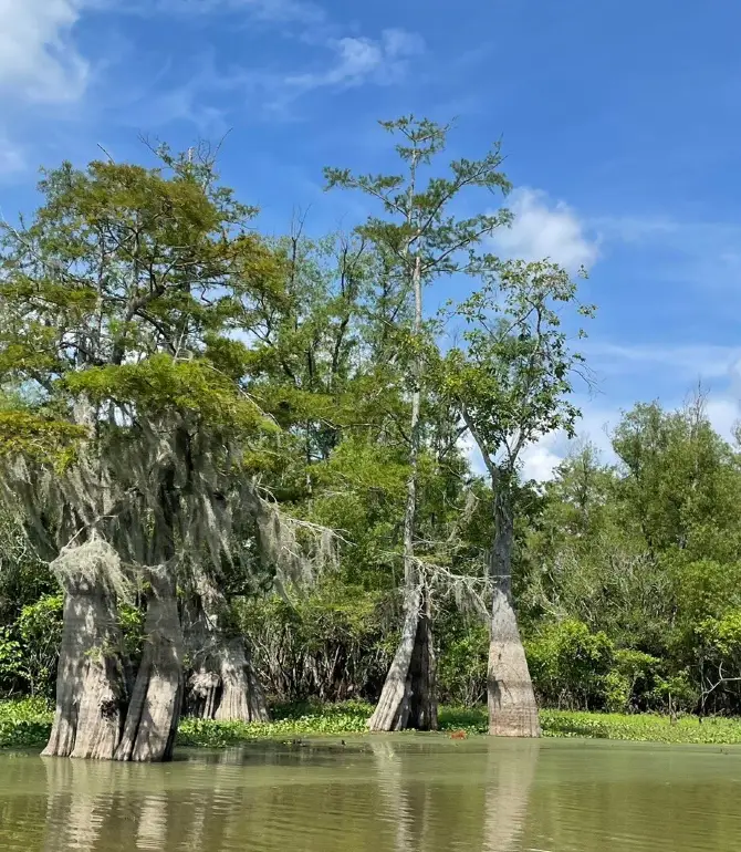 Pearl River