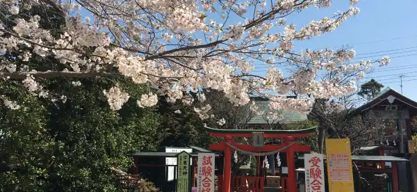 東金市住宿飯店