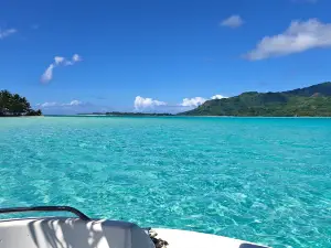Huahine Dream Tours