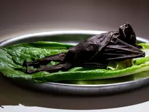 Disgusting Food Museum