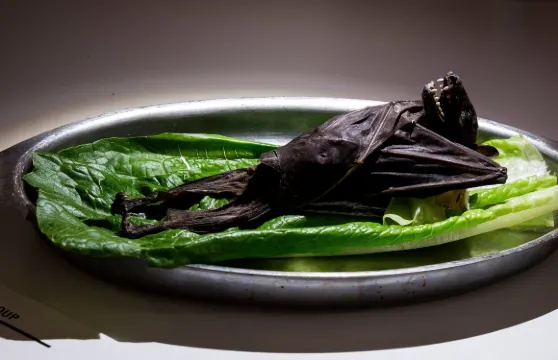 Disgusting Food Museum門票家庭（1位成人+1位小童）（6-15歲小童）