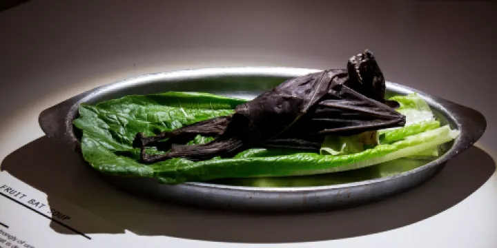 Disgusting Food Museum