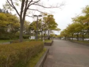 Iimoriyama Park