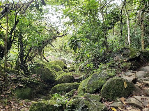 Iniciativa de Transición en la Cuenca del río Arenal