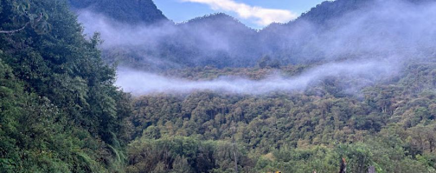 Sacha Runa Cloudy Forest
