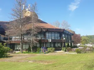 Golubački park