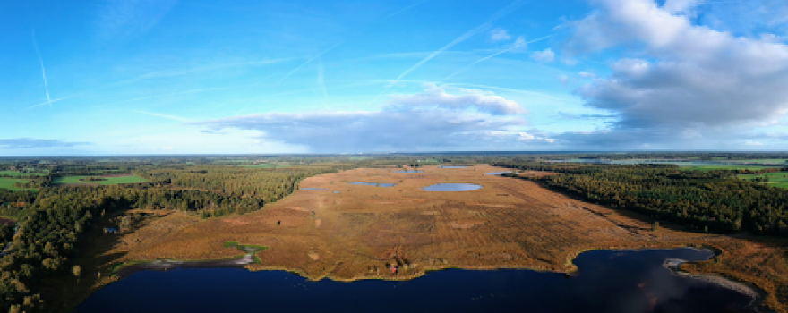Duurswouder Heide