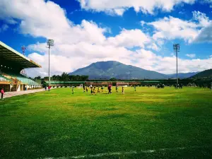 Estadio Las Flores