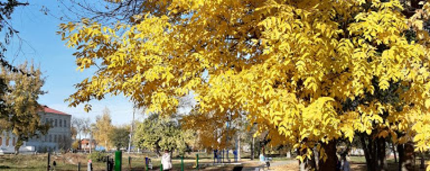 Park