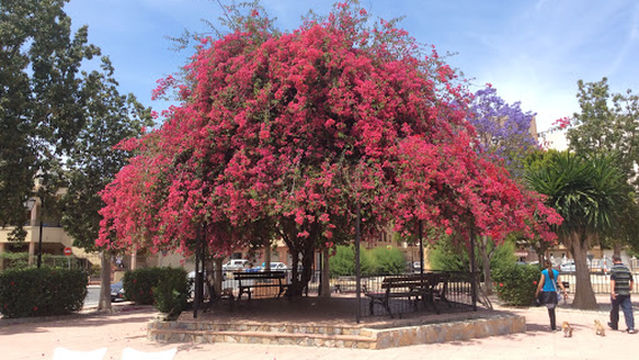 Estadio Municipal Sadrián
