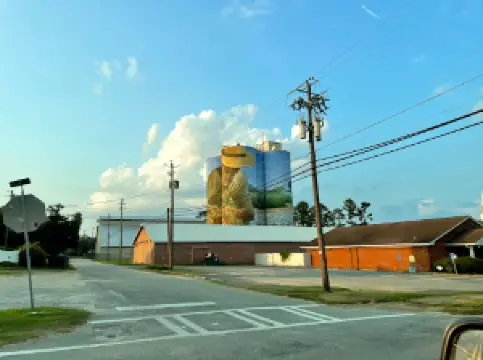 Agriculture Icon Mural, Colquitt, GA