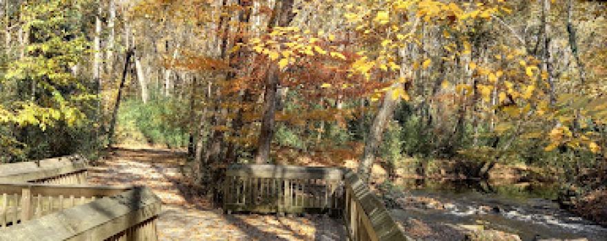 Hitchcock Creek Trail