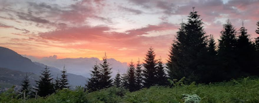 Seighal Mahalleh Forest Park