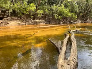 Wenlock River