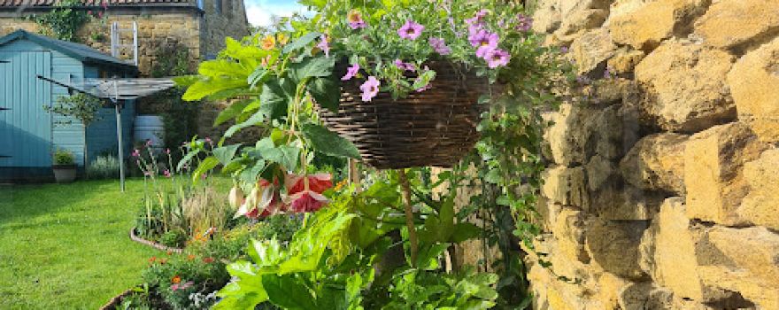 Weston Nurseries UK