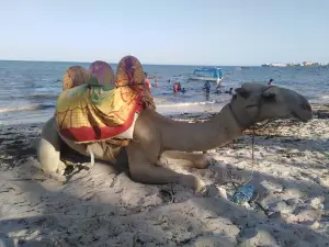 Pirates Public Beach