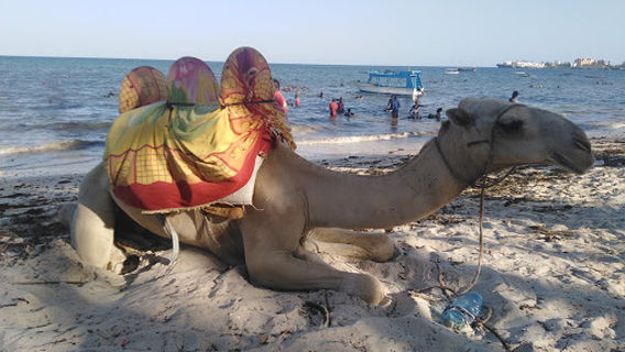 Pirates Public Beach