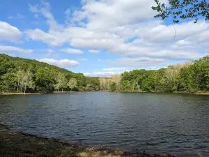 Painted Rock Conservation Area