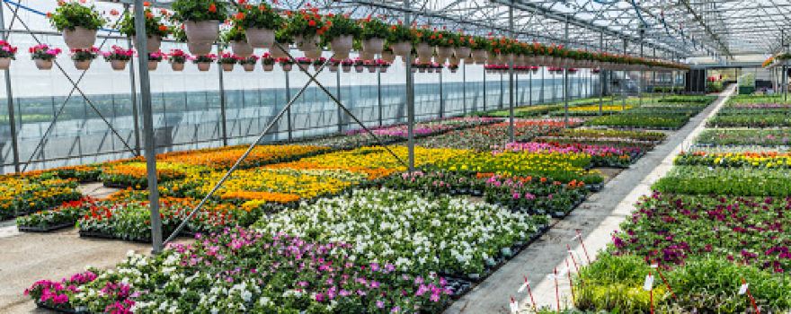 VUILLERMET Horticulteur