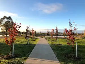 Lake Centenary, Temora, NSW