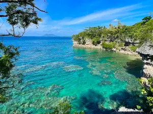 Top Rock